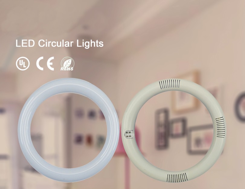 LED Circular Lights manufacturer sinostar lighting 2