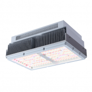 SC8000P LED Grow Lights Replacement of 1000W HPS